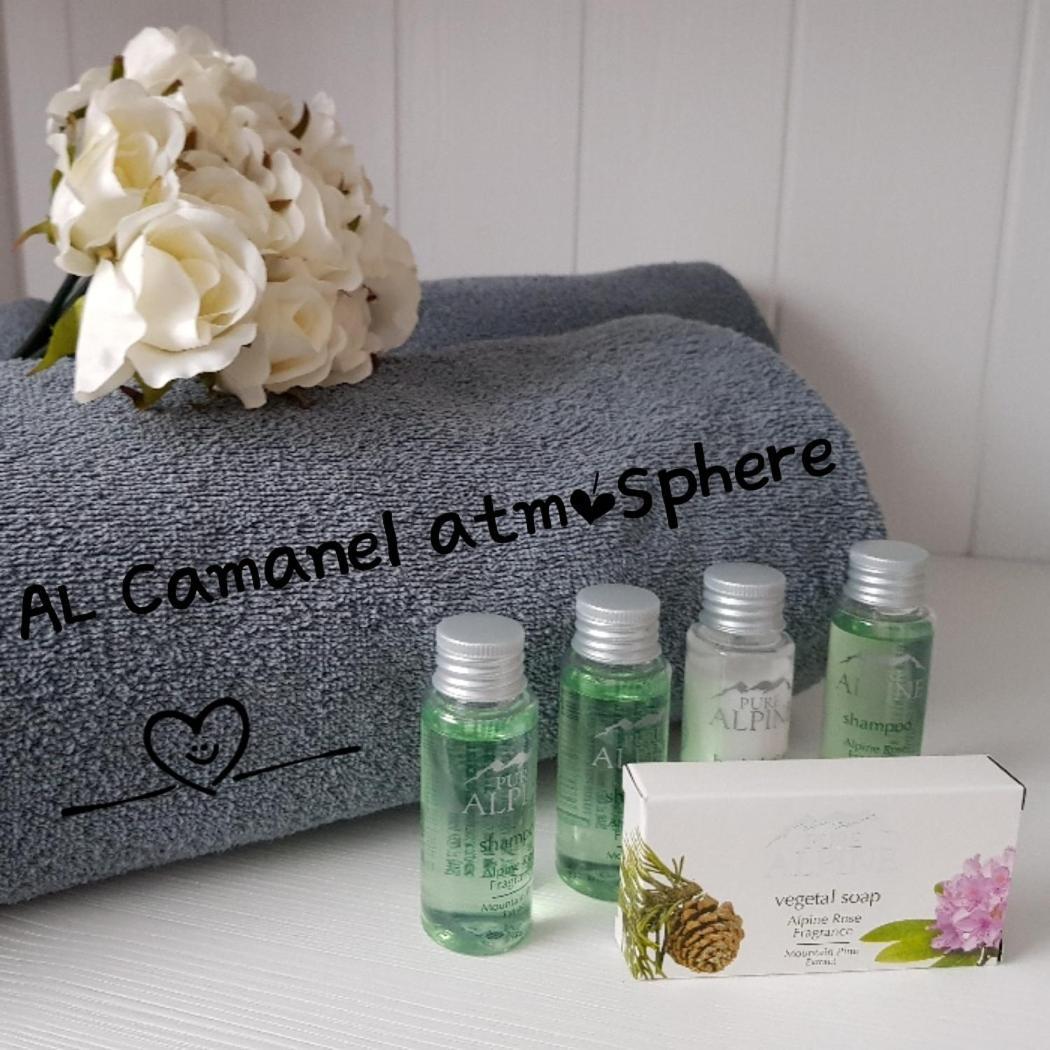 Appartement Al Camanel *